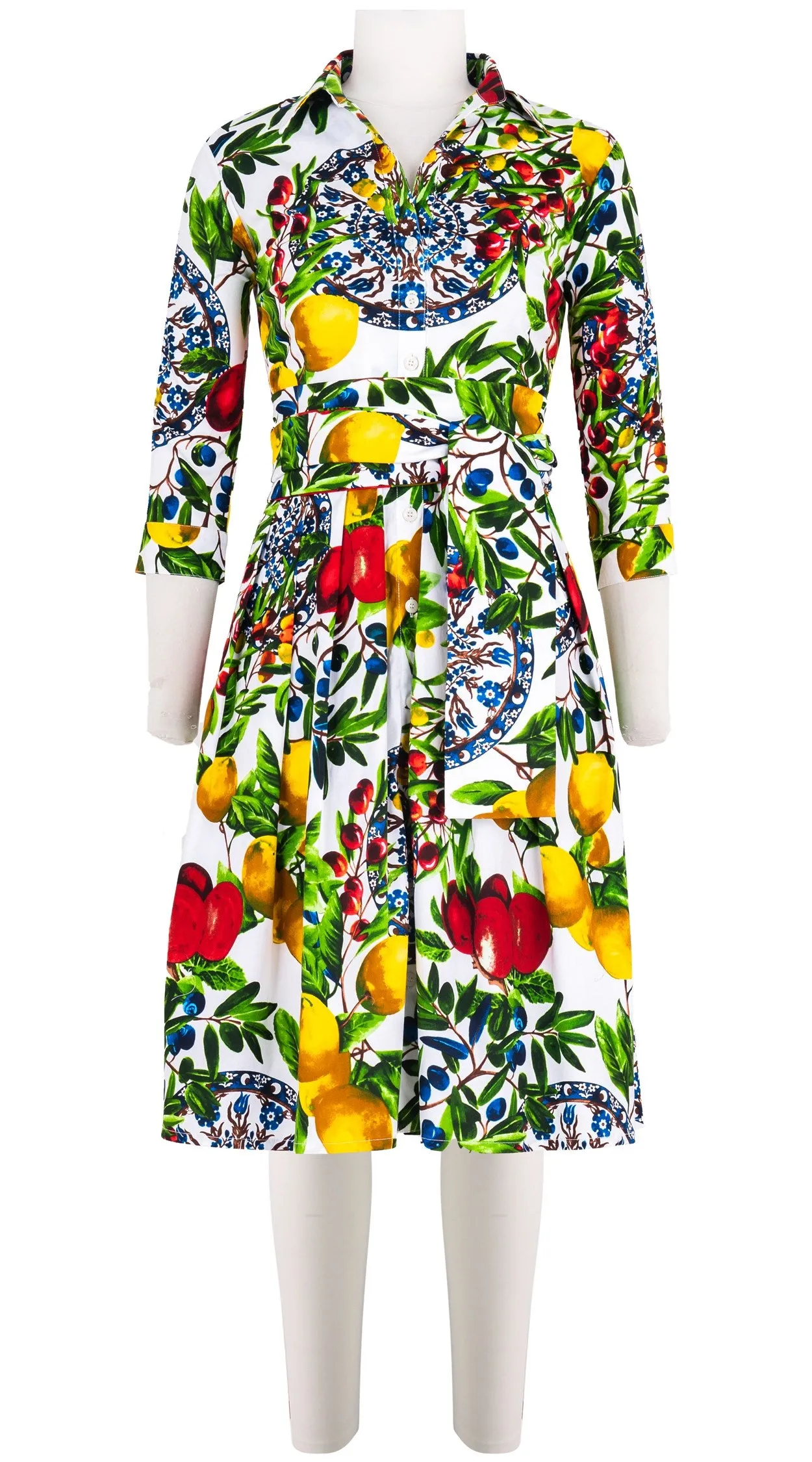 Audrey Dress #1 Shirt Collar 3/4 Sleeve Cotton Stretch (Tuscan Olive Lemon Big)