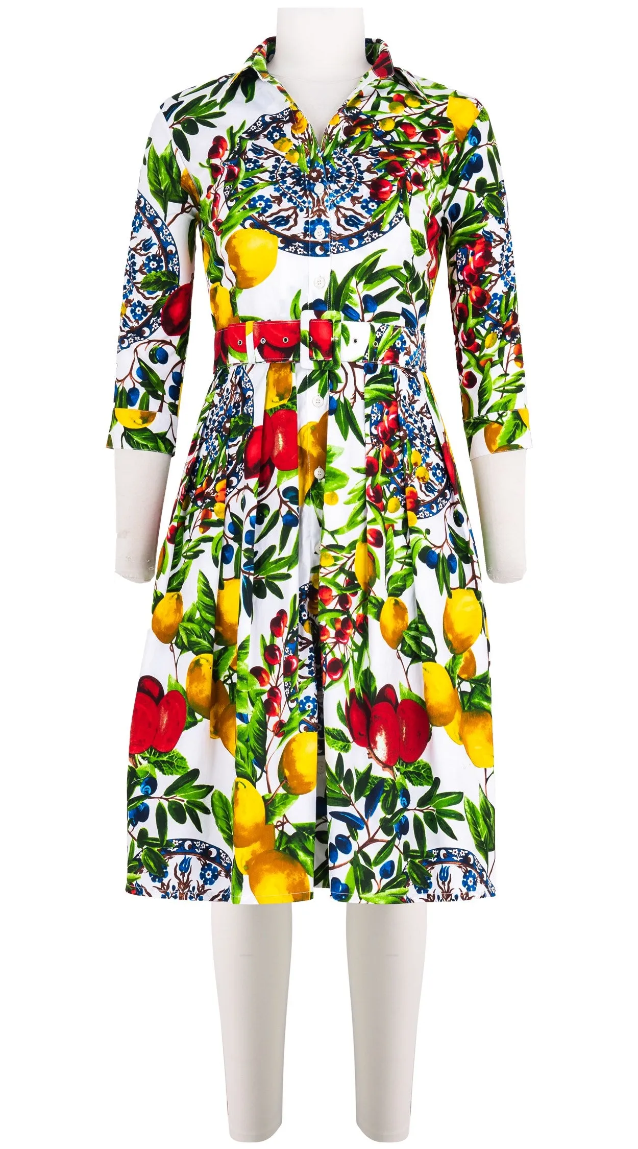 Audrey Dress #1 Shirt Collar 3/4 Sleeve Cotton Stretch (Tuscan Olive Lemon Big)